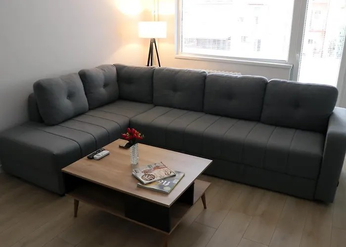 Spacious Modern Apartment Kisela Voda