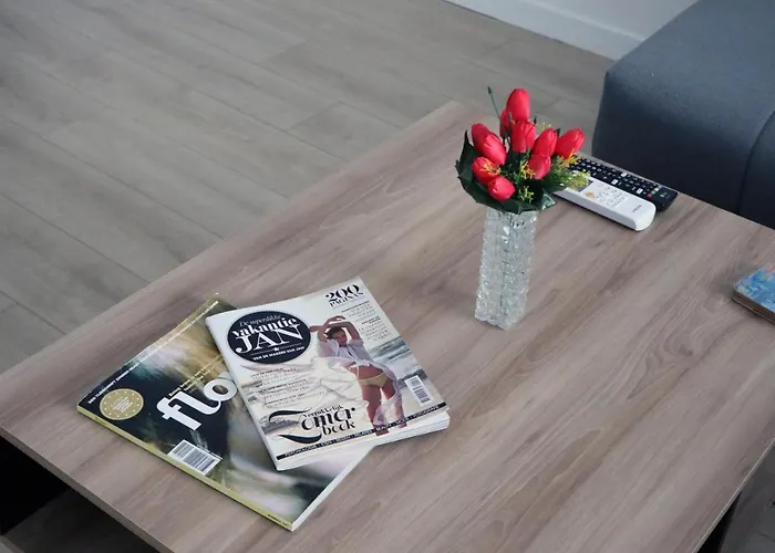 Spacious Modern Apartment Kisela Voda