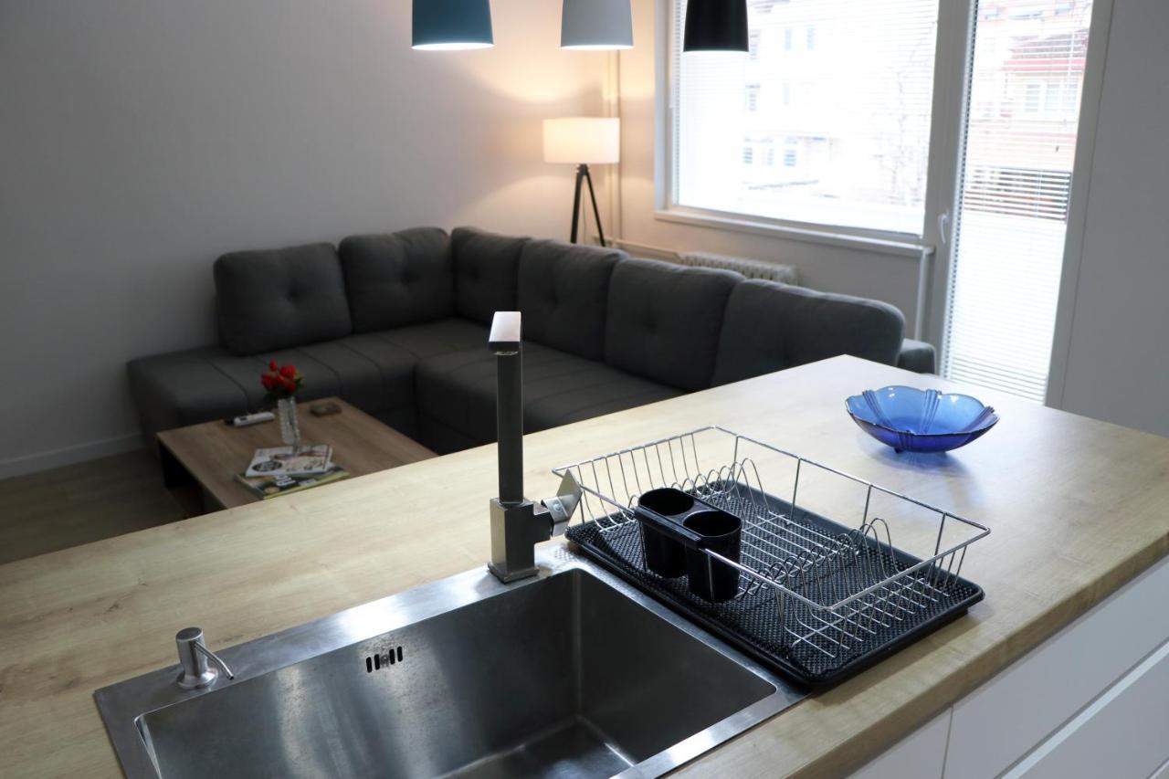 Spacious Modern Kisela Voda Daire *